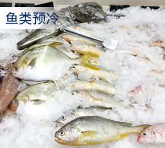 這類制冰機的特點或選購指南 這類制冰機的特點或選購指南